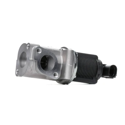 Bilde av PIERBURG 7.22946.38.0 EGR Ventil elektrisk magnetventil med tetning OPEL: Astra H Caravan, Zafira B, Hatchback, ALFA ROMEO: 159 Sportwagon