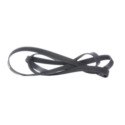 Bilde av FEBI BILSTEIN 29022 Kileribberem 2403 6 EPDM (etyl propylen dien gummi) MERCEDES BENZ: E Klasse Sedan, T modell, C modell