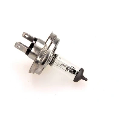 Bilde av MAXGEAR 78 0147 Lyspærer 12 55