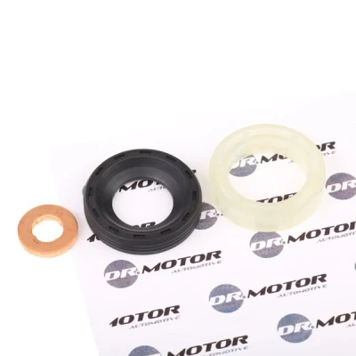 Bilde av DR.MOTOR AUTOMOTIVE DRM040 Pakninger uten skrue CITROËN: Berlingo II Van, C5 Hatchback, II, FORD: Focus 2 Kombi, 2, FIESTA 6