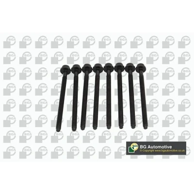 Bilde av Boltsett, sylindertopp, audi,seat,skoda,vw, WHT004926(x8)