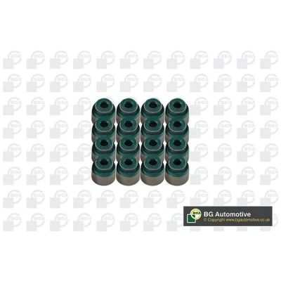 Bilde av Tetningssett, ventilstamme, dacia,mercedes benz,nissan,renault, 13207 4F105, 53Y10