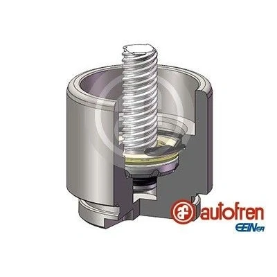Bilde av AUTOFREN SEINSA D025641RK Stempel, bremseklave 48 bakaksel TRW FORD: Transit Mk6 Van