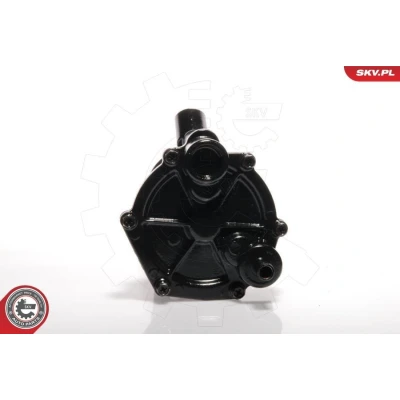 Bilde av ESEN SKV 18SKV003 Vakuumpumpe FORD: S Max Mk1, Transit Connect Mk1 Van