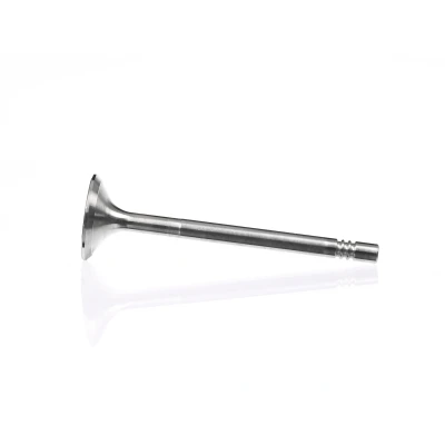 Bilde av Utløpsventil, Eksosside, alfa romeo,fiat,lancia,opel,saab,suzuki,vauxhall, 46416321, 46527856, 46764378, 46783962, 60814504, 641089, 641
