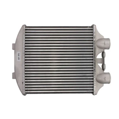 Bilde av Intercooler THERMOTEC DAT003TT