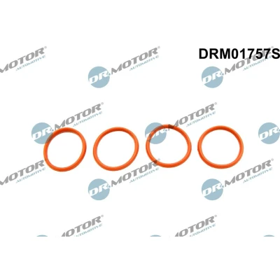Bilde av DR.MOTOR AUTOMOTIVE DRM01757S Tetningssett, innsugningsmanifold