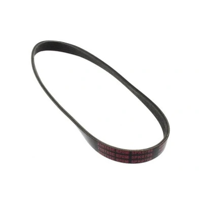 Bilde av MAPCO 250705E Kileribberem 705 5 EPDM (etyl propylen dien gummi) FORD: Focus 2, 2 Kombi, C Max, VOLVO: V50, S40 II
