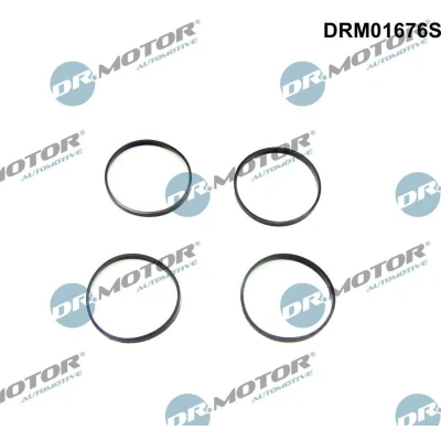 Bilde av DR.MOTOR AUTOMOTIVE DRM01676S Tetningssett, innsugningsmanifold BMW: 5 Touring, X5, Sedan