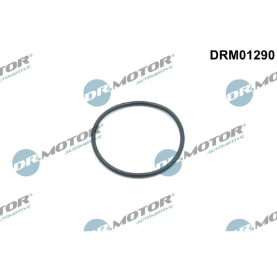 Bilde av DR.MOTOR AUTOMOTIVE DRM01290 Tetningsring, styrekjedespenner