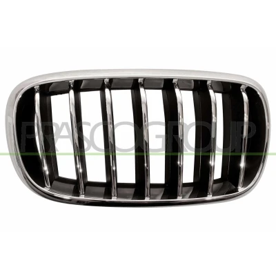Bilde av BLIC 6502 07 00969944P Radiatorgitter foran høyre krom, svart BMW: X5