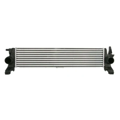 Bilde av Intercooler THERMOTEC DAM034TT
