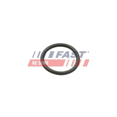 Bilde av FAST FT49934 Pakninger Vannpumpe