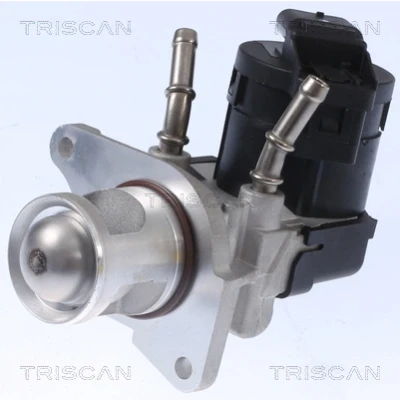 Bilde av TRISCAN 8813 11001 EGR Ventil elektrisk med tetning, uten kjøler BMW: 5 Touring, X3, Sedan