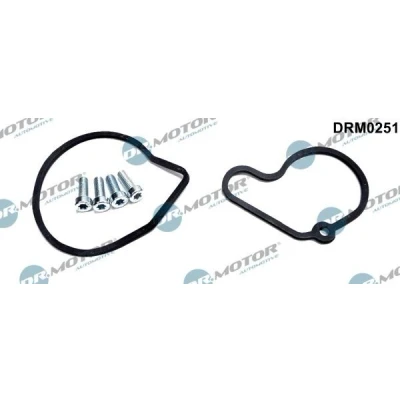 Bilde av DR.MOTOR AUTOMOTIVE DRM0251 Vakuumpumpe reparasjonssett