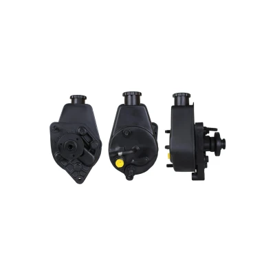 Bilde av Servopumpe DRI 715520280