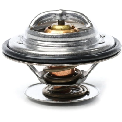 Bilde av METZGER 4006318 Termostat 79 67 med tetning MERCEDES BENZ: Pagode Cabrio