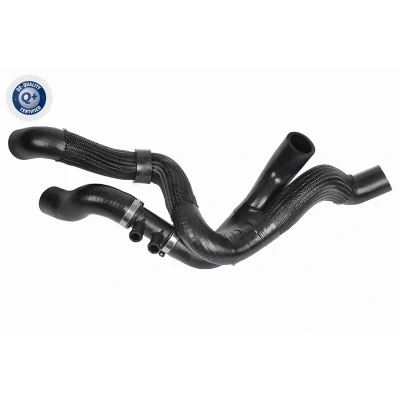 Bilde av VAICO V10 8877 Radiatorslange nedre venstre VOLKSWAGEN: GOLF 5, 6