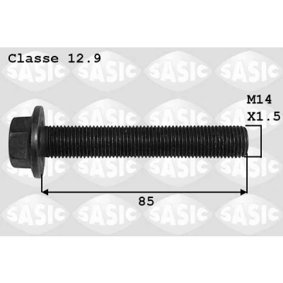 Bilde av SASIC 8706021 Remskiveskrue FORD: Galaxy Mk2 MPV, MONDEO 4 Turnier,