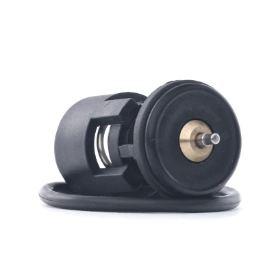 Bilde av JP GROUP 1114600711 Termostat med tetning VOLKSWAGEN: Caddy 3, Polo III Hatchback, GOLF SKODA: Octavia 2 Combi, 1 Fabia Combi
