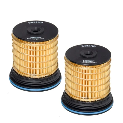 Bilde av HENGST FILTER E432KP D250 2 Drivstoffilter Filterinnsats OPEL: Antara, CHEVROLET: Captiva