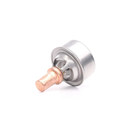 Bilde av MAGNETI MARELLI 352317101130 Termostat 89 uten pakning