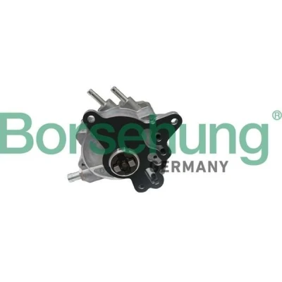 Bilde av Borsehung B17906 Vakuumpumpe AUDI: A3 Sportback, A6 C6 Avant, Sedan, VOLKSWAGEN: Golf 5, Passat B6 Variant, SKODA: Octavia II Hatchback