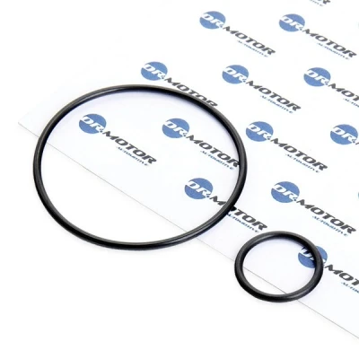 Bilde av DR.MOTOR AUTOMOTIVE DRM116 Tetningssett, innsugningsmanifold