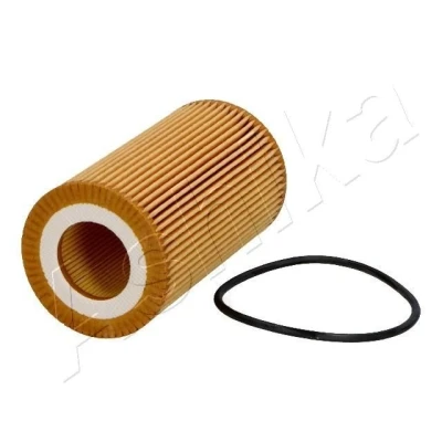 Bilde av ASHIKA 10 0L L11 Oljefilter Filterinnsats LAND ROVER: Range Rover 3