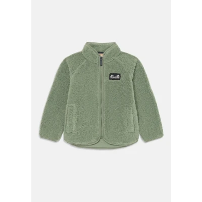 Bilde av Didriksons Gibbs Pilejakke, Light Moss, 120 Fleecejakker &amp; Fleecegensere 100% Polyester