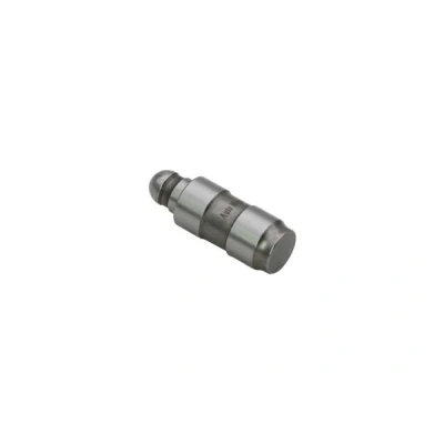 Bilde av AUTOMEGA 130016610 Ventilløfter hydraulisk VOLKSWAGEN: Caddy 3, Passat B6 Variant, B5 GP Stasjonsvogn, MERCEDES BENZ: GL, C Klasse T modell
