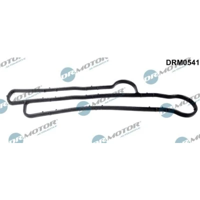 Bilde av DR.MOTOR AUTOMOTIVE DRM0541 Pakninger motorside