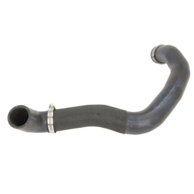 Bilde av THERMOTEC DWM174TT Radiatorslange EPDM (etyl propylen dien gummi)