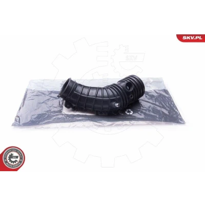 Bilde av Sugeslange, luftfilter, honda accord vii, tourer 17228RAAA00
