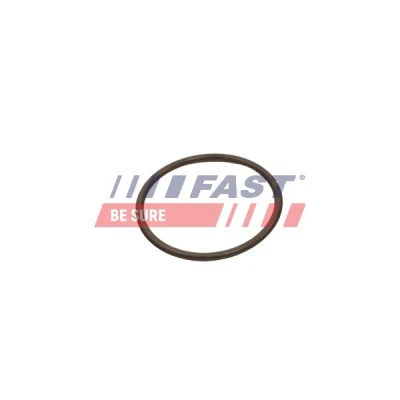 Bilde av FAST FT49933 Tetningsring, laseluftslange