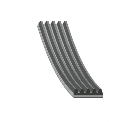 Bilde av FEBI BILSTEIN 176318 Kileribberem 491 5 EPDM (etyl propylen dien gummi) VOLKSWAGEN: GOLF 5, 6, Passat B7 Variant, SKODA: Fabia 2