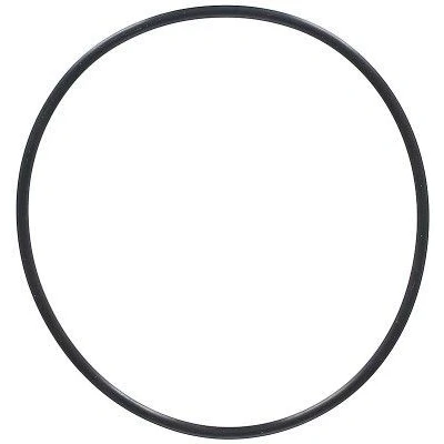 Bilde av O ring ELRING 794.570