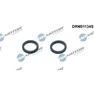 Bilde av DR.MOTOR AUTOMOTIVE DRM01134S Pakninger
