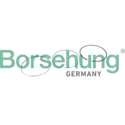 Bilde av Borsehung B10368 Stempelringsett