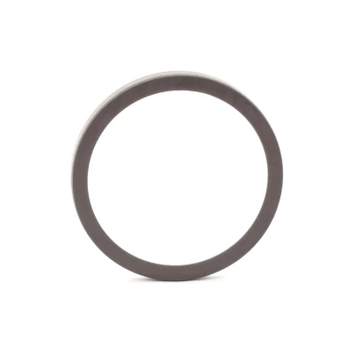 Bilde av METZGER 0900179 ABS Ring bakaksel VOLKSWAGEN: Caddy 3, Passat B6 Variant, B7 AUDI: A3 Sportback, SKODA: Octavia 2 Combi
