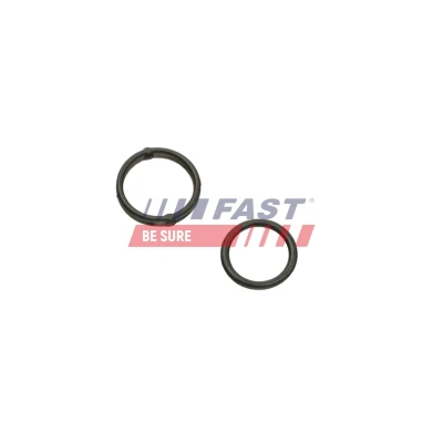 Bilde av FAST FT38804 Pakninger ALFA ROMEO: Giulietta Hatchback, 159 Sportwagon