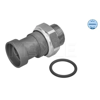 Bilde av Temperaturbryter, radiator ventilator, alfa romeo,citroën,fiat,lancia,peugeot, 1264.33, 60809247, 7738582