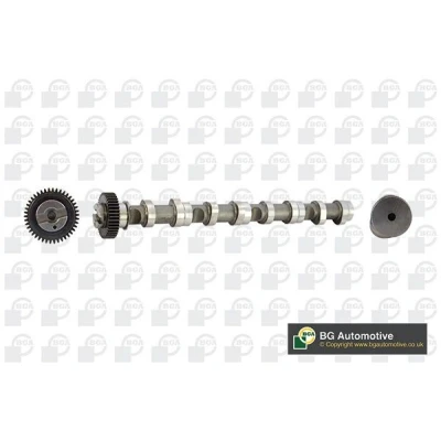 Bilde av Kamaksel, Inngang, audi,seat,skoda,vw, 03L109021, 03L109021E
