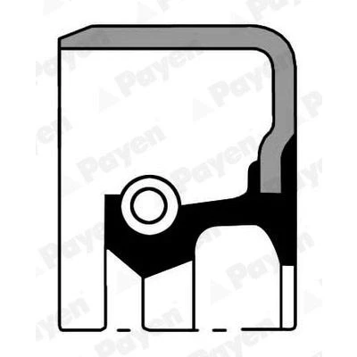 Bilde av PAYEN NA5140 Veivaksel Tetningsring FPM (fluor kautsjuk) MITSUBISHI: PAJERO 2, 3, L200 / Triton IV Pick up, HYUNDAI: i20 I Hatchback