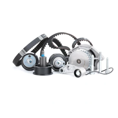 Bilde av INA 530 0089 31 vannpumpe + Registerreimsett med VOLKSWAGEN: Caddy 3, Golf 5, Plus / Crossgolf, SKODA: Octavia 2 Combi