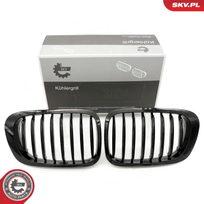 Bilde av ESEN SKV 66SKV055 Radiatorgitter glanset, svart BMW: 3 Coupé