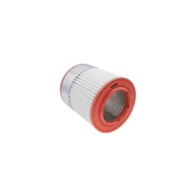 Bilde av AUTOMEGA 180026110 Luftfilter Filterinnsats AUDI: A8 D3