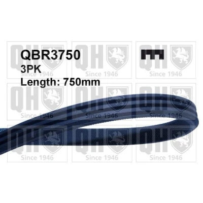 Bilde av QUINTON HAZELL QBR3750 Kileribberem 750 3 RENAULT: Kangoo I, I Express, CLIO 2, LAND ROVER: Freelander SUV, SUV Cabrio