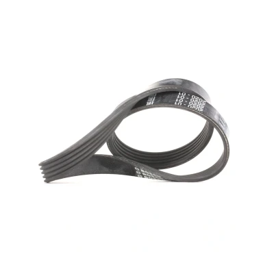 Bilde av BOSCH 1 987 946 134 Kileribberem 705 5 Elastic FORD: Focus 2, 3, 2 Kombi, VOLVO: V50, S40 II