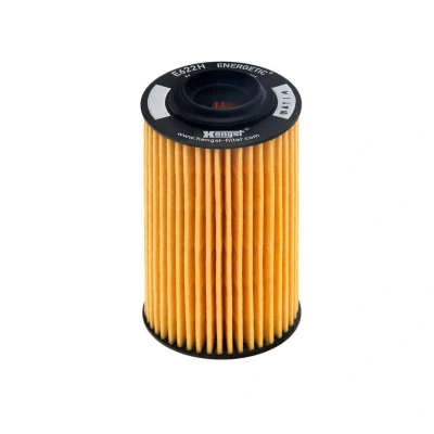 Bilde av HENGST FILTER E622H D145 Oljefilter Filterinnsats OPEL: Insignia A Sports Tourer, Hatchback, Vectra C Caravan, SAAB: 9 3 Sedan